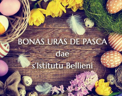 Bonas Uras de Pasca
