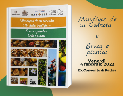 Ervas e piantas Padria istituto Bellieni